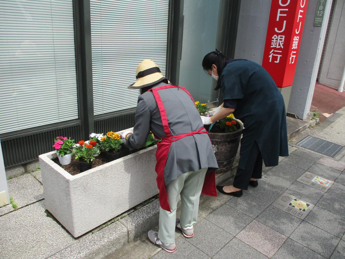植え替えの様子2