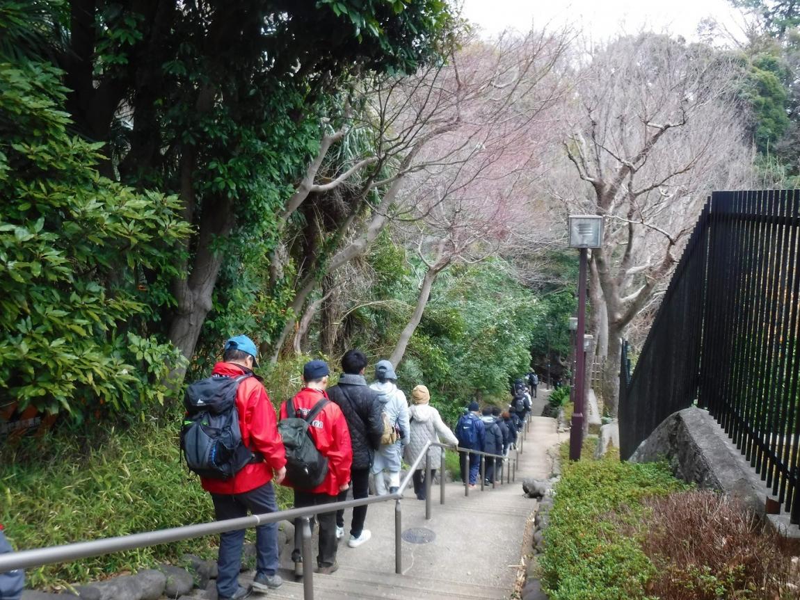 歩こう会の様子（等々力渓谷公園にて）