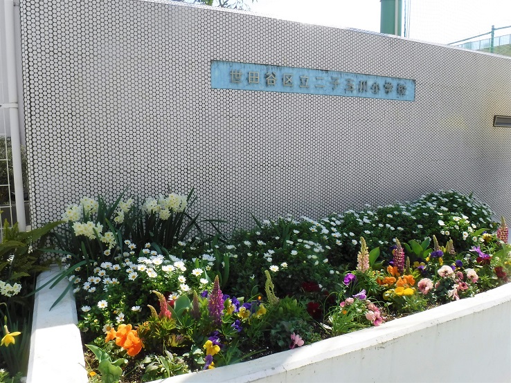 二子玉川小学校花壇