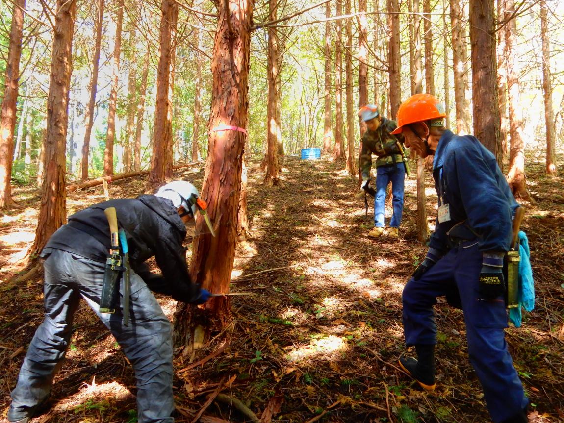 おとなの里山コースの様子