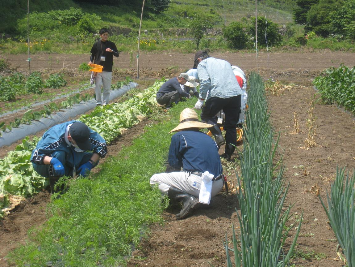 農業技術教室の様子