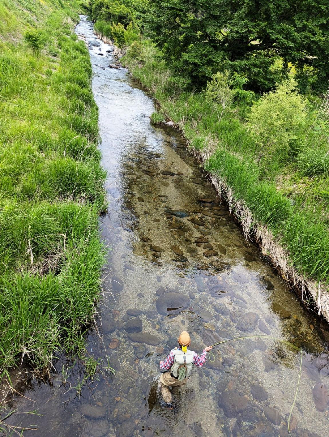 フライフィッシングの様子