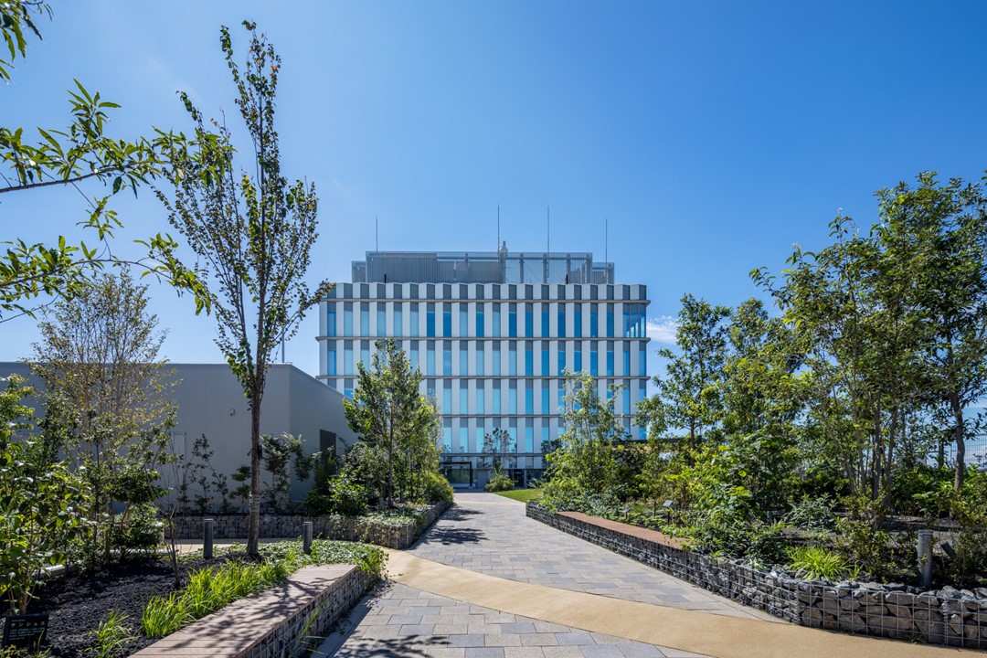 屋上庭園