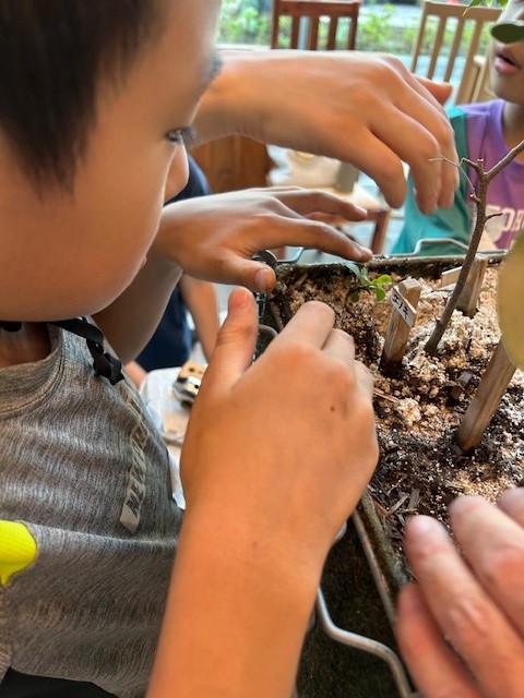 植替作業の様子