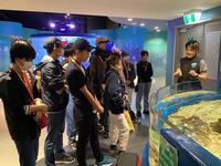 Dolphin Discovery Centre見学