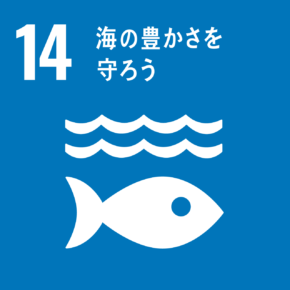 SDGs　目標14の画像