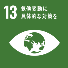 SDGs　目標13の画像