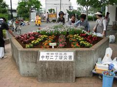 中町二丁目公園花壇の花の植替えの様子の写真