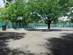 球戯広場