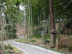 竹林の園路