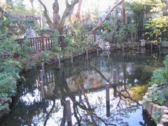 深沢の杜緑地池の様子の写真
