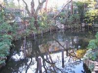 深沢の杜緑地の池