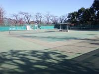 羽根木公園テニスコート