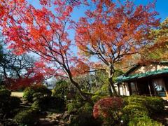 等々力渓谷公園日本庭園