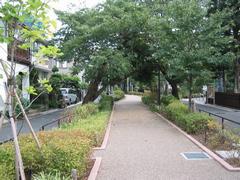 呑川緑道の写真