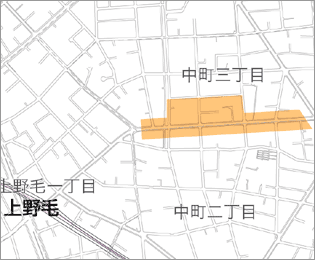 中町上野毛通り沿道地区　区域図