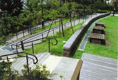 大ケヤキのある円泉ヶ丘公園