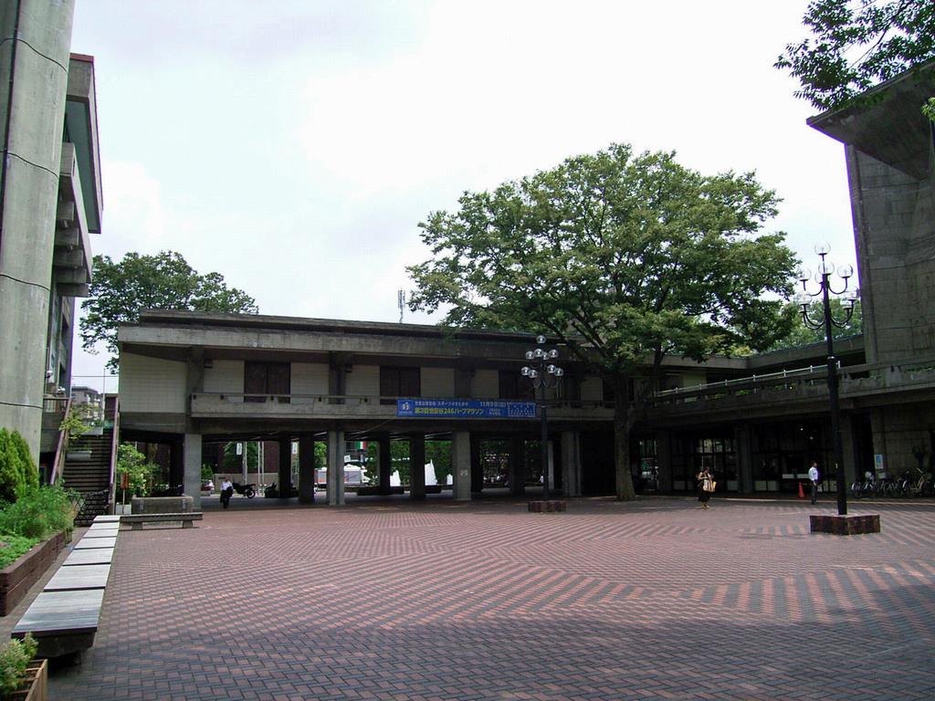 世田谷区庁舎のケヤキ並木が作る広場の風景