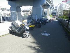 二子玉川駅周辺道路上に放置された自動二輪の写真
