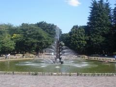 世田谷公園噴水広場の写真