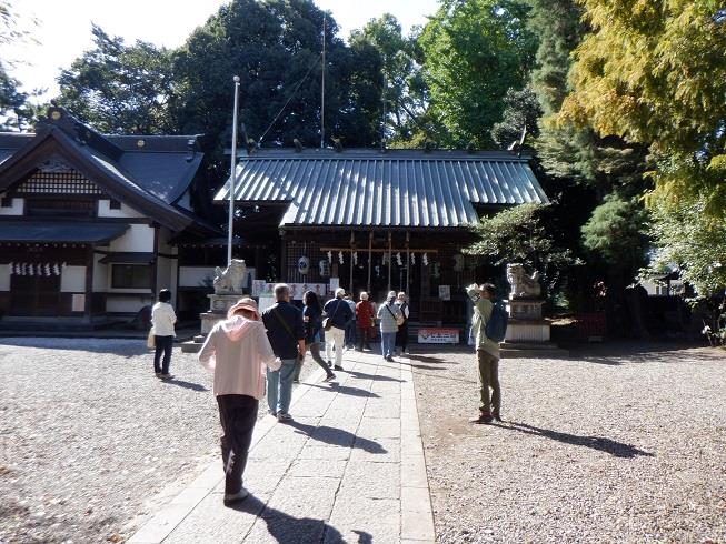 木々に囲まれた狛江の総鎮守、伊豆美神社社殿前まで到着しました