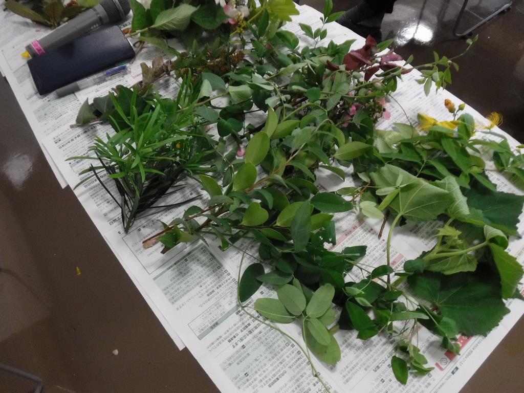 講習会で使用した植物の写真